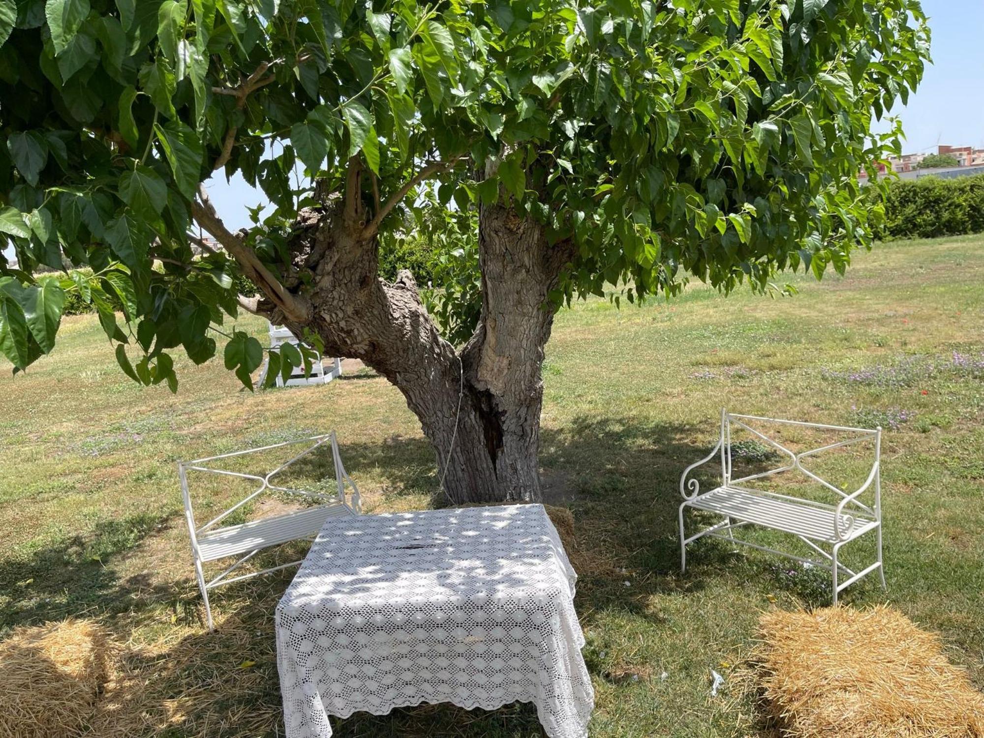 La Massaria Agriresort Orta Nova Luaran gambar