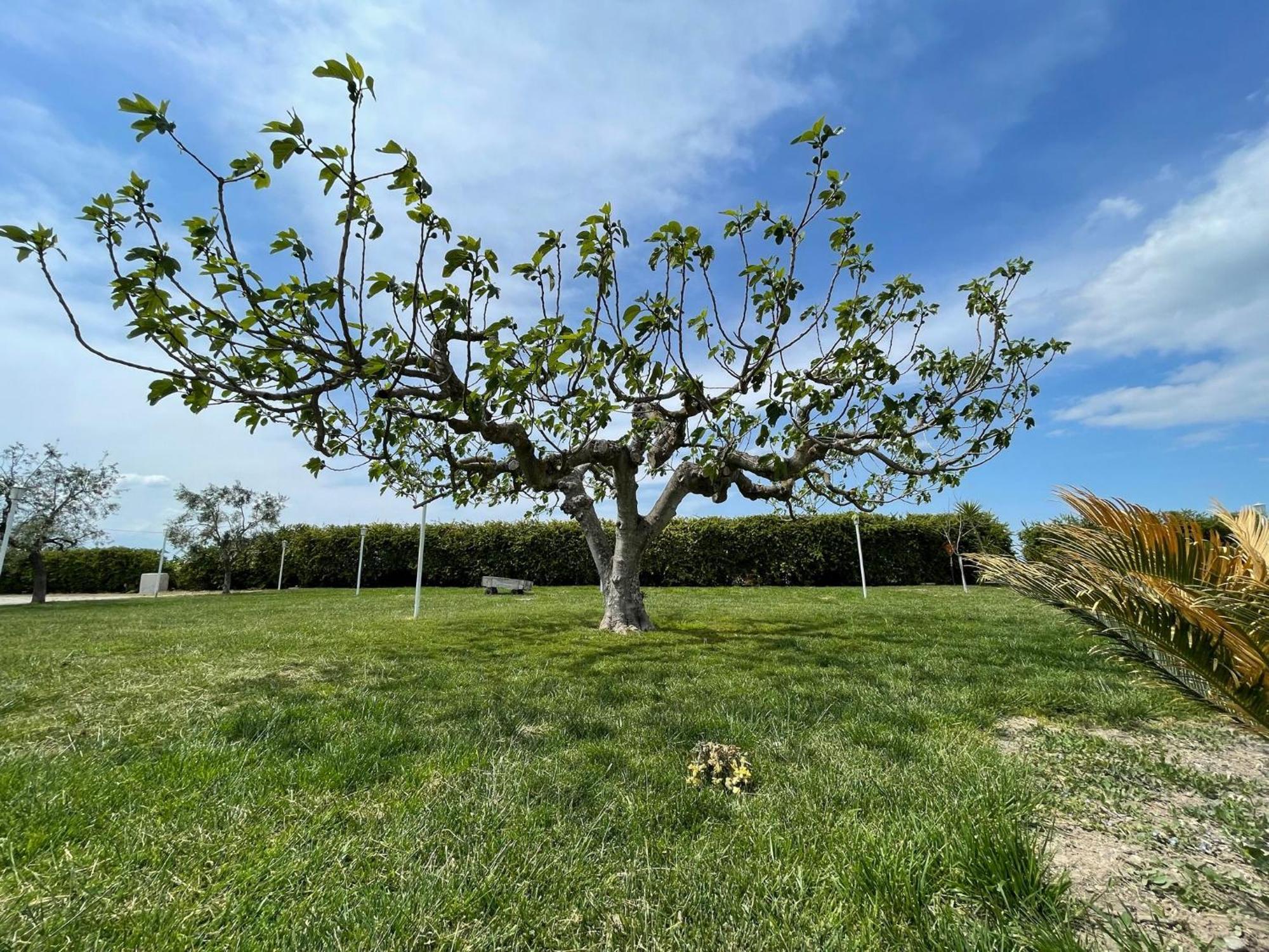 La Massaria Agriresort Orta Nova Luaran gambar