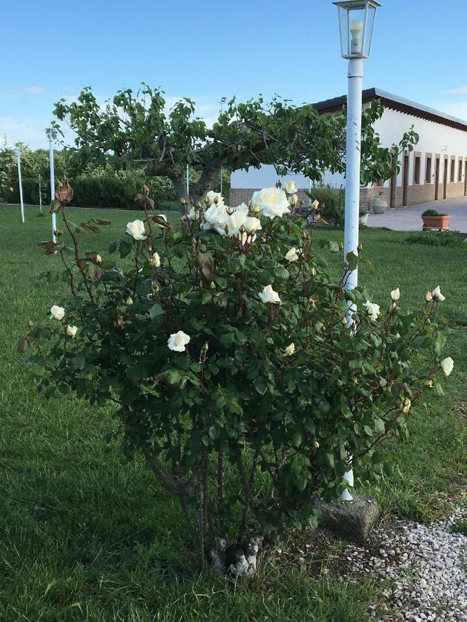La Massaria Agriresort Orta Nova Luaran gambar